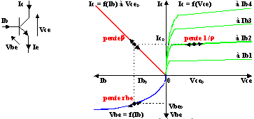 caractéristiques