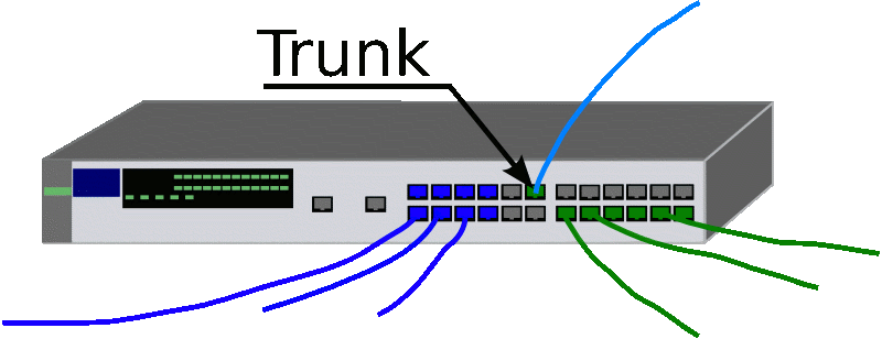 trunk